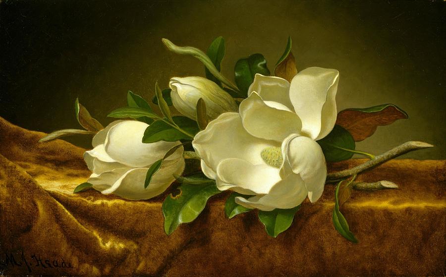 Lily Painting - Magnolias on Gold Velvet Cloth #3 by Martin Johnson Heade