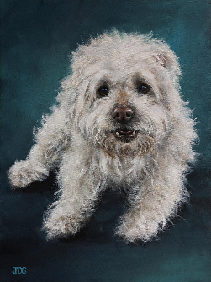 Maltese Painting by Julie Dalton Gourgues - Fine Art America