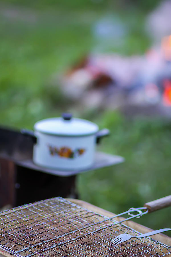 Chicken Photograph - Meat on the grill and white pan on the brazier on bonfire background #3 by Olga Strogonova