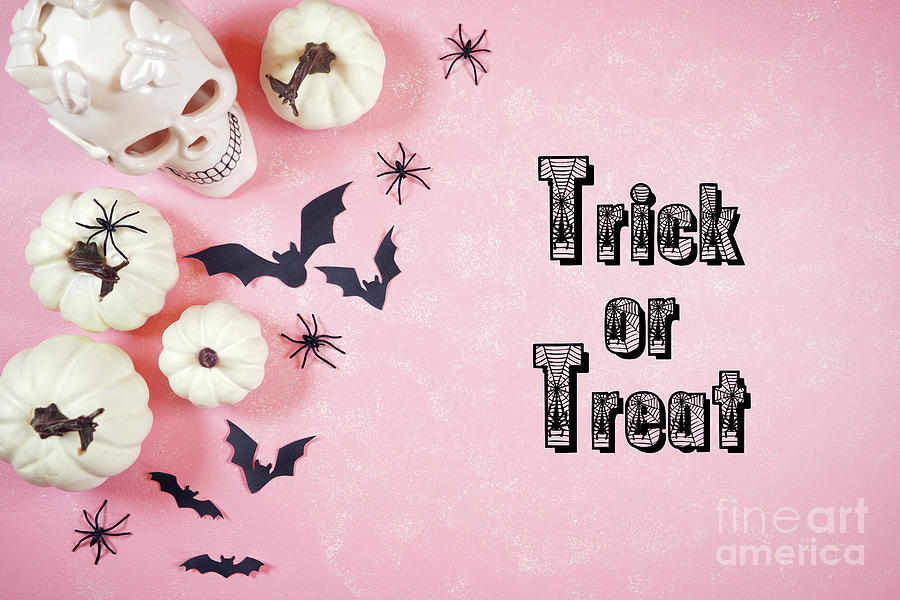 Modern pink Halloween theme flatly background. #3 Photograph by Milleflore Images