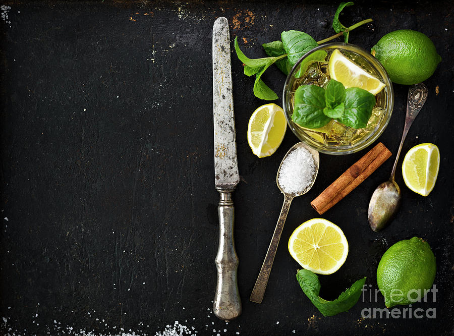 Mojito ingredients #3 Photograph by Jelena Jovanovic