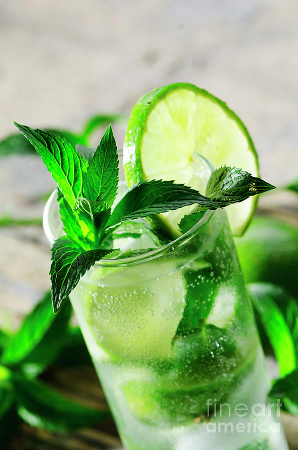 Mojito Cocktail Closeup Photograph