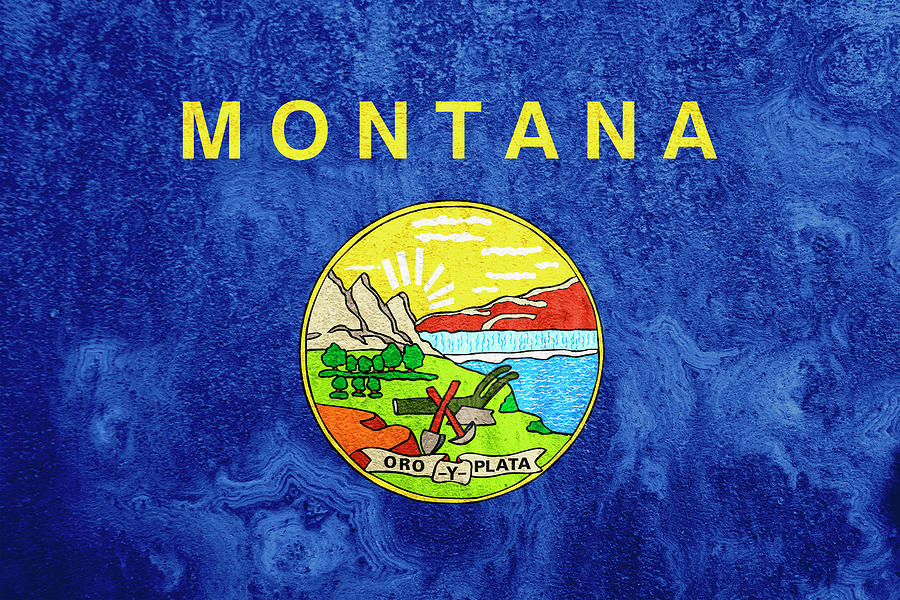 Montana State Flag Photograph