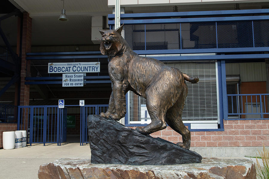 Montana State University Bobcat statue #3 Photograph by Eldon McGraw