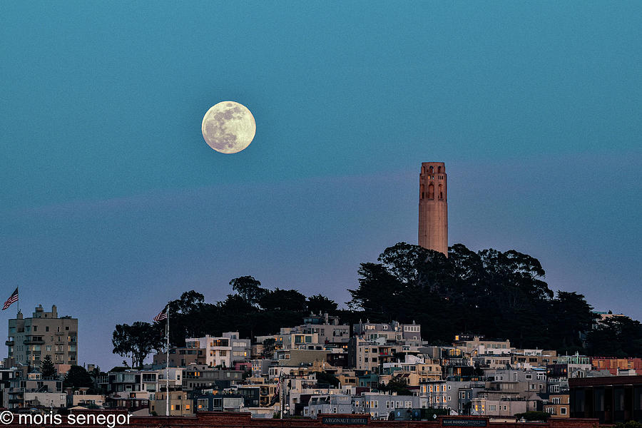 Moon Rkise, Telegraph Hill, San Francisco #3 Photograph by Moris Senegor