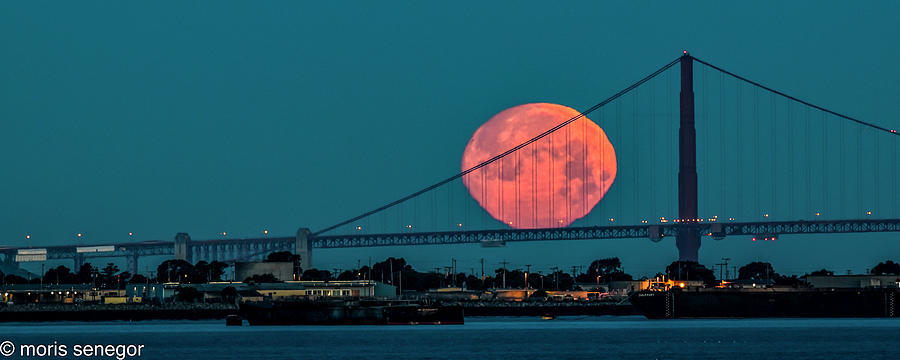 Moon Set, Golden Gate Bridge #3 Photograph by Moris Senegor