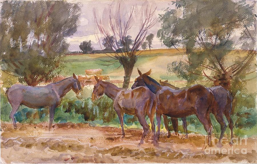 John Singer Sargent Painting - Mules  AKG5163928 by John Singer Sargent