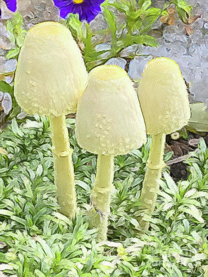 Mushroom Photograph - 3 Mushrooms by Ameenah Henderson