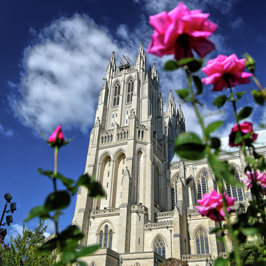 National Cathedral #3 Photograph by Mitch Cat