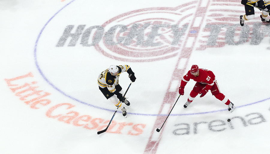 NHL: SEP 23 Preseason - Bruins at Red Wings #3 Photograph by Icon Sportswire