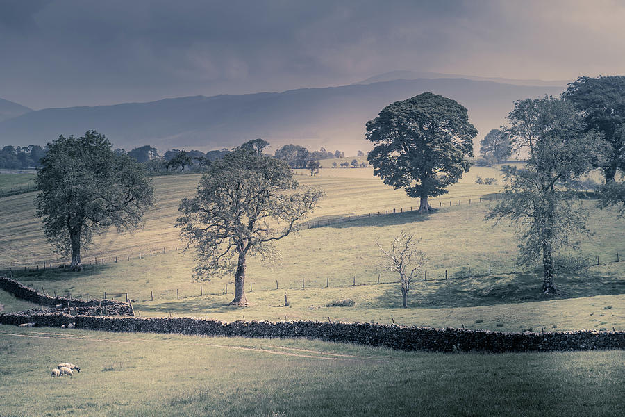 Northwest English Countryside Between The Rain Showers. Photograph