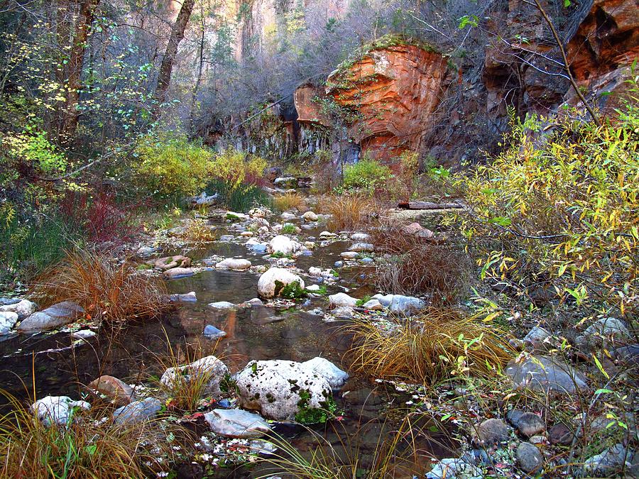 Oak Creek, Arizona Photograph by Jon B Martinson | Fine Art America