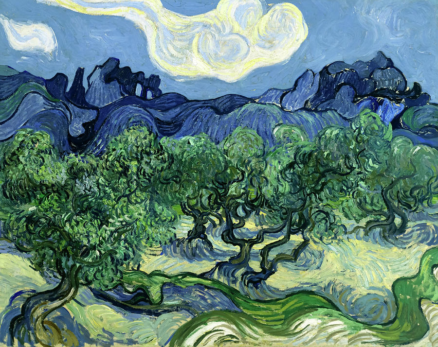 Vincent Van Gogh Painting - Olive Trees with the Alpilles in the Background by Vincent van Gogh by Mango Art