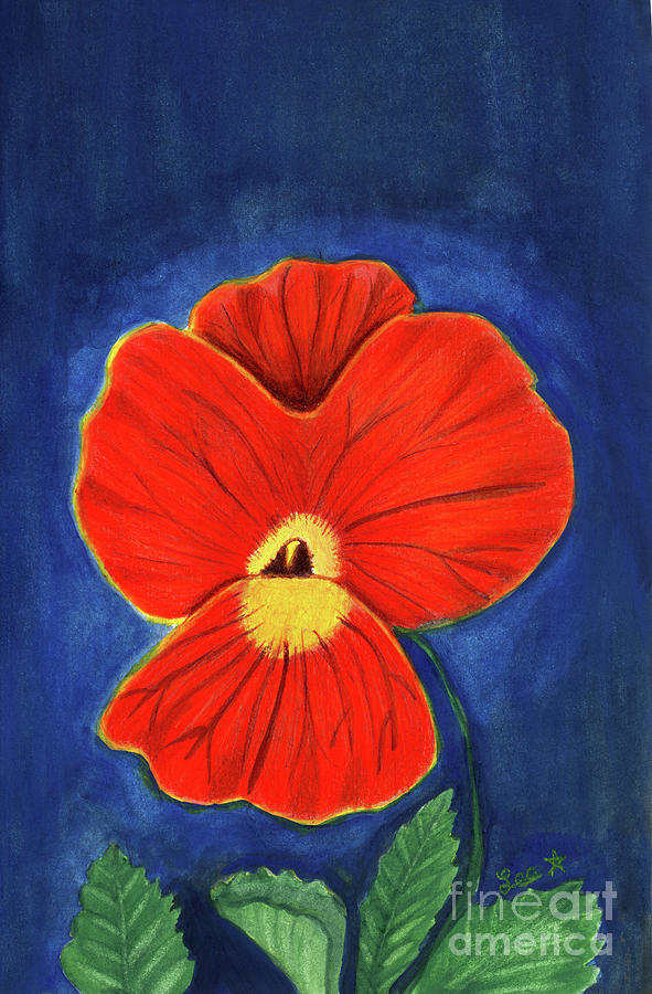 Orange Pansy #4 Painting by Dorothy Lee