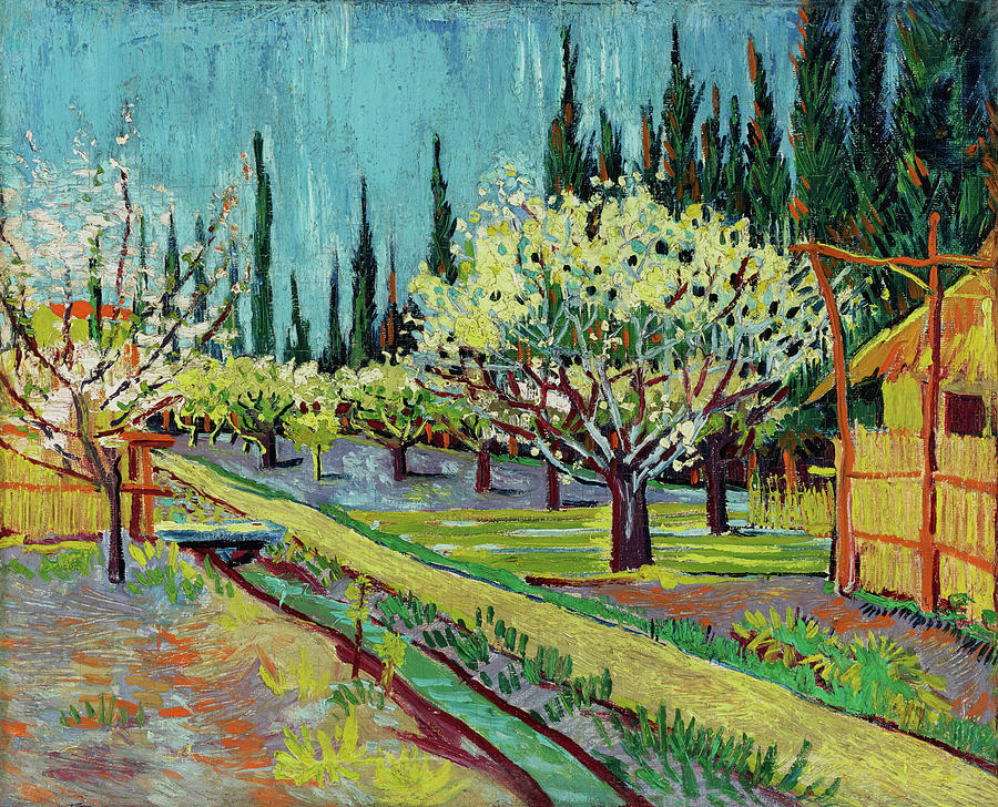 Orchard Bordered by Cypresses  #3 Painting by Vincent Van Gogh