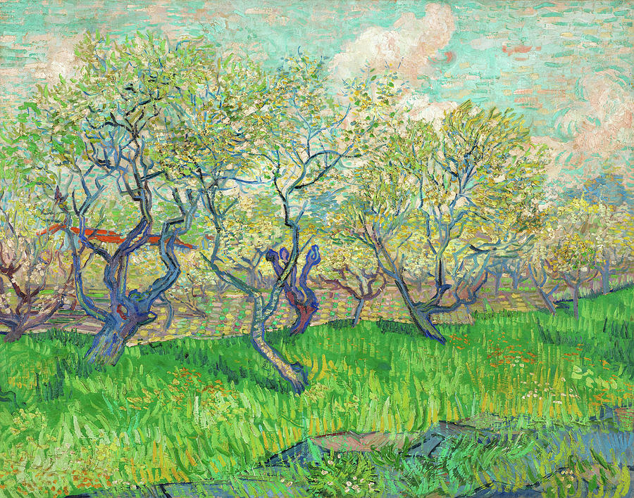 Vincent Van Gogh Painting - Orchard in Blossom #3 by Vincent van Gogh