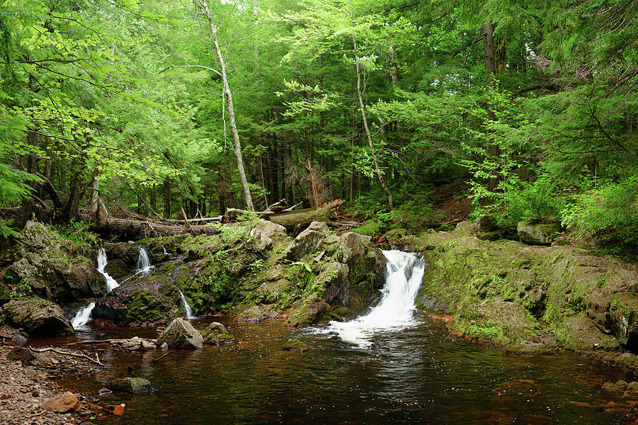 Overlooked Waterfall, Michigan #3 Photograph by Douglas Allen Overlooked Waterfall, Michigan #3 Photograph by Douglas Allen