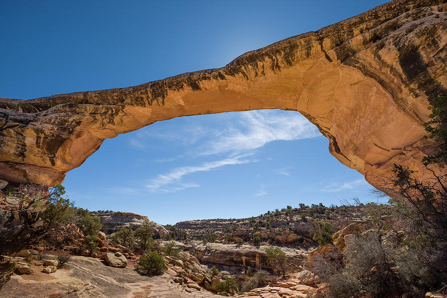 Owachomo Bridge in the Natural Bridges National Monument #3 Photograph by David L Moore