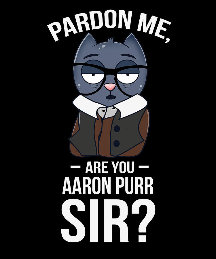 Pardon me are you Aaron Purr Sir? Shirt - Funny Hamilton Cat