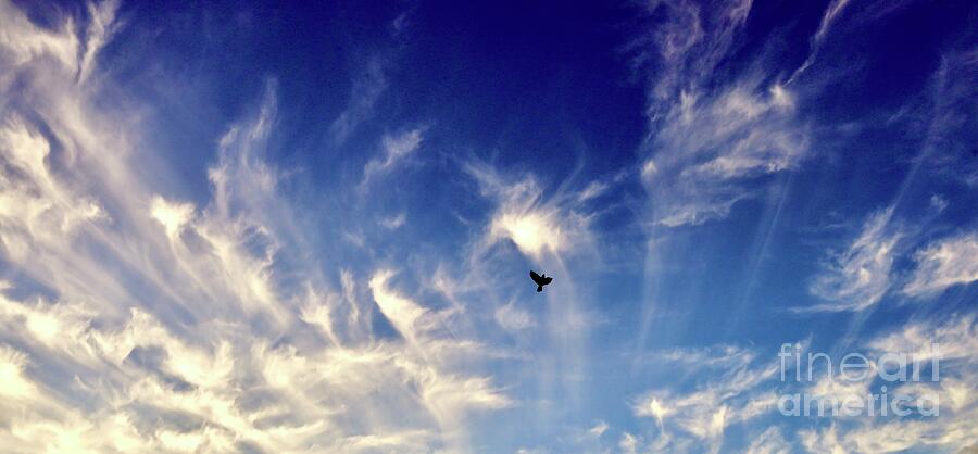 Peace Photograph