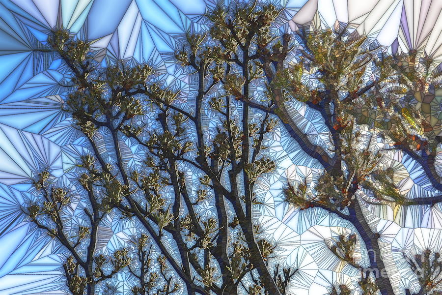 Pear Tree In Bud 1, Stained Glass Effect Photograph