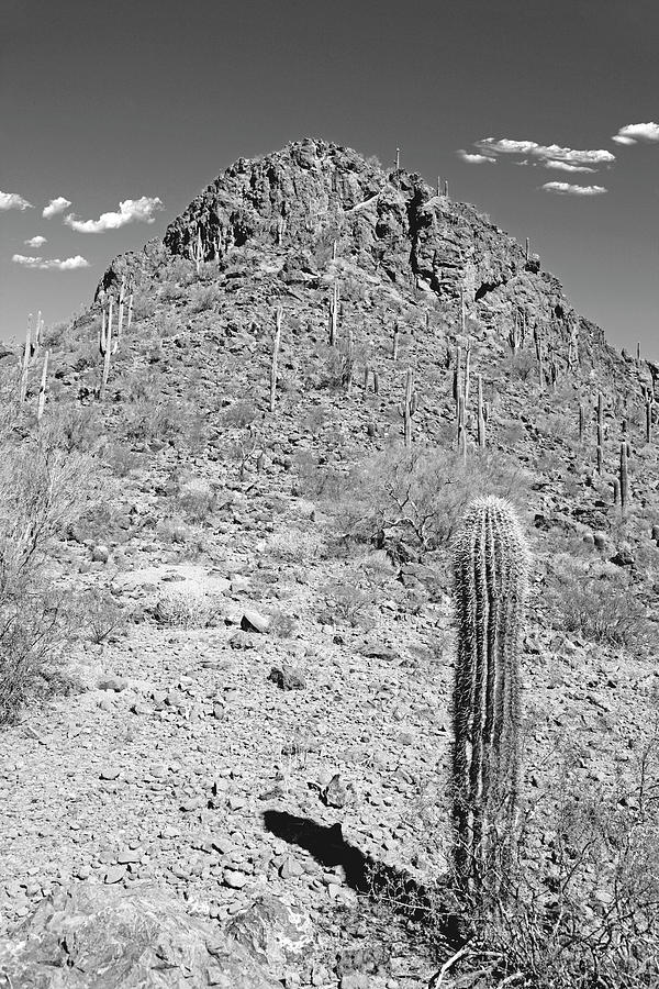 Picacho Pass AZ #3 Photograph by Chris Smith