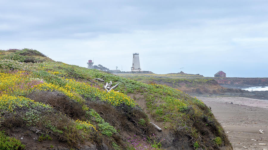Piedras Blancas Lighthouse #3 Photograph by Lars Mikkelsen