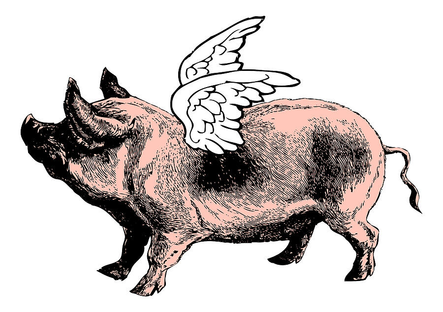 Pig with Wings - No. 6 Digital Art by Eclectic at Heart