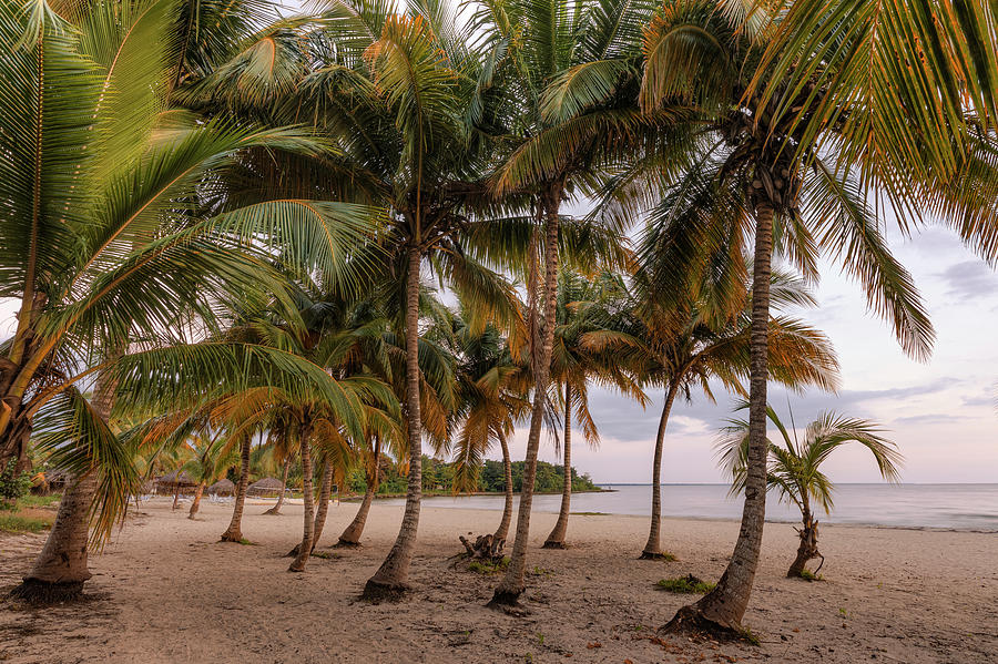 Playa Larga - Cuba #3 Photograph by Joana Kruse