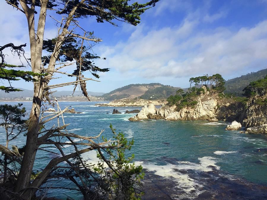 Point Lobos Carmel Photograph By Luisa Millicent Fine Art America