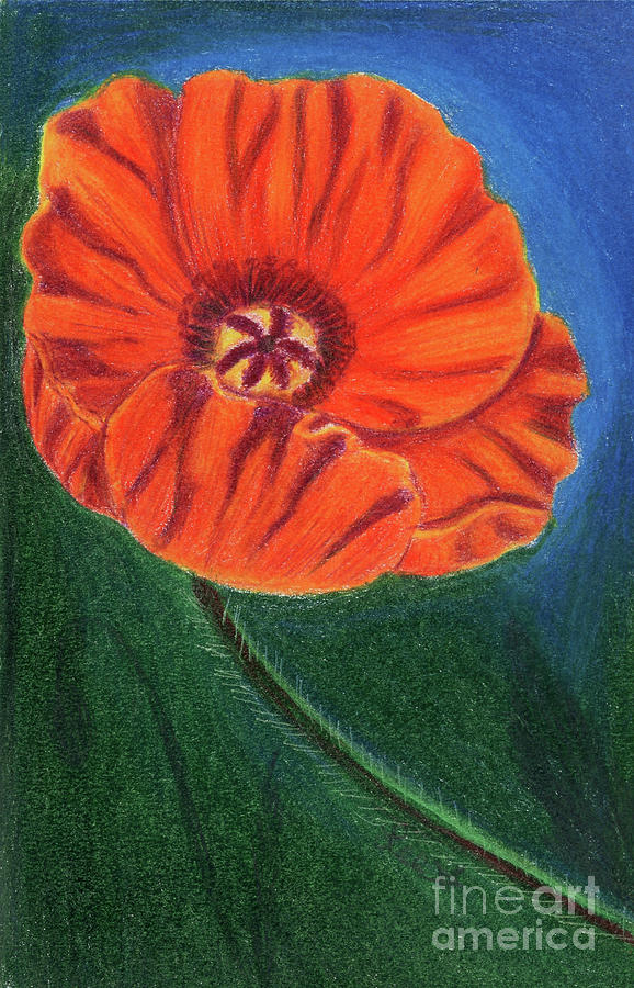 Poppy #3 Painting by Dorothy Lee