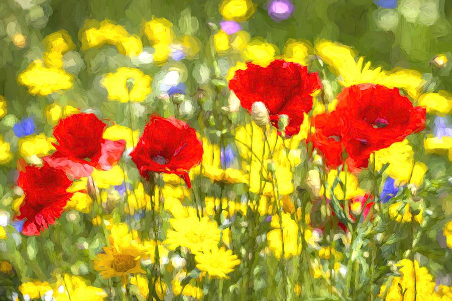 Poppy Meadow Art Photograph