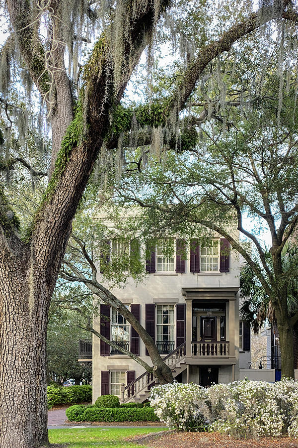 Porches of Savannah, Georgia #3 Photograph by Dawna Moore Photography