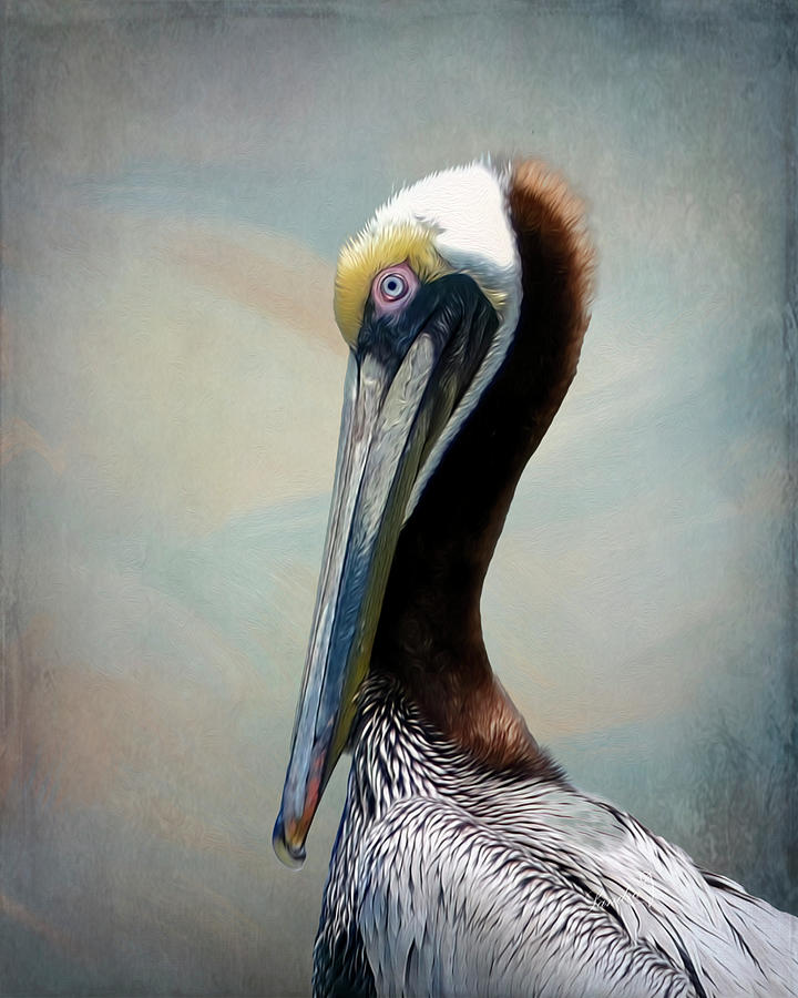 Portrait of the Brown Pelican #3 Photograph by Sandra Js