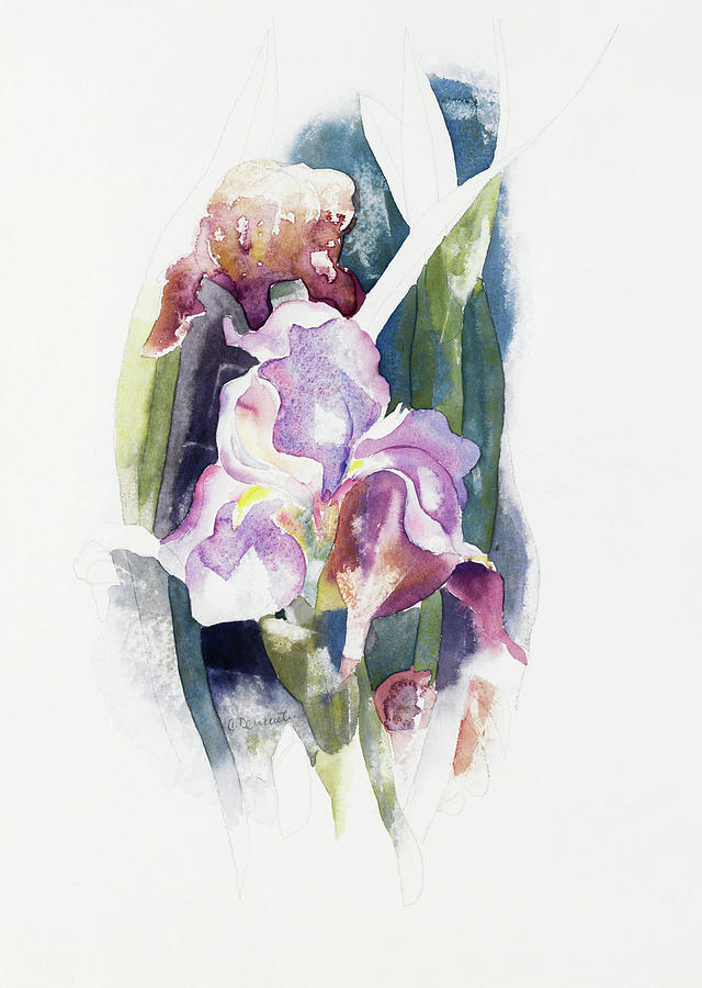 Flower Painting - Purple Iris #3 by Charles Demuth