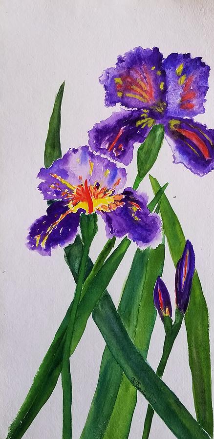 3 Purple Irises  Painting by Ann Frederick