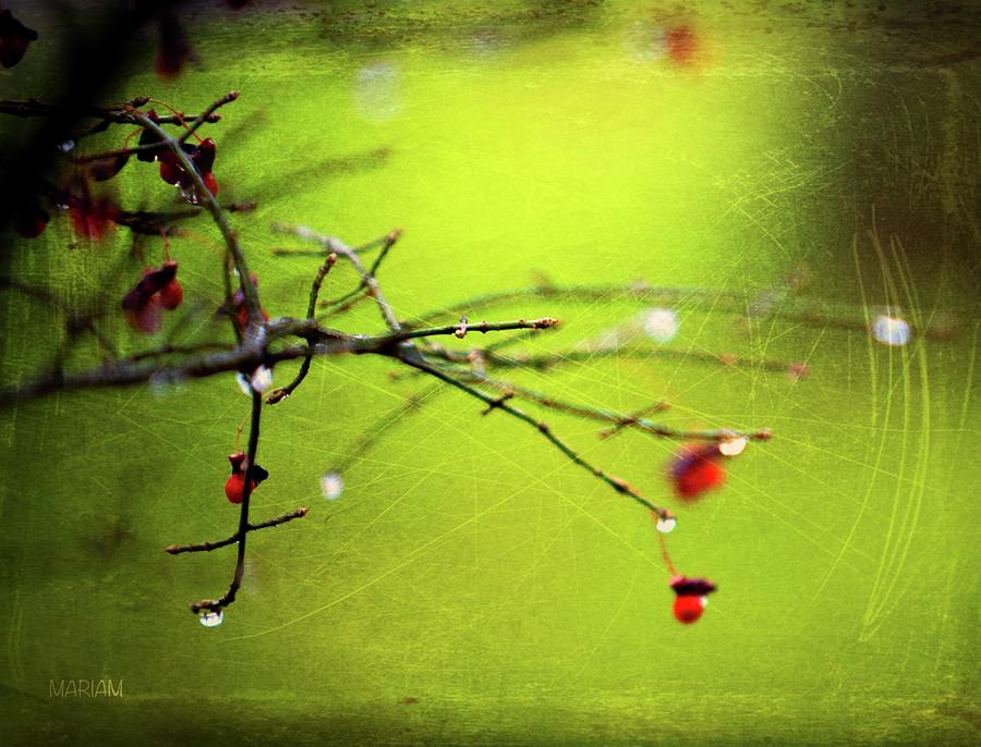 Rainy Day Branches  #3 Digital Art by Mariam Bazzi