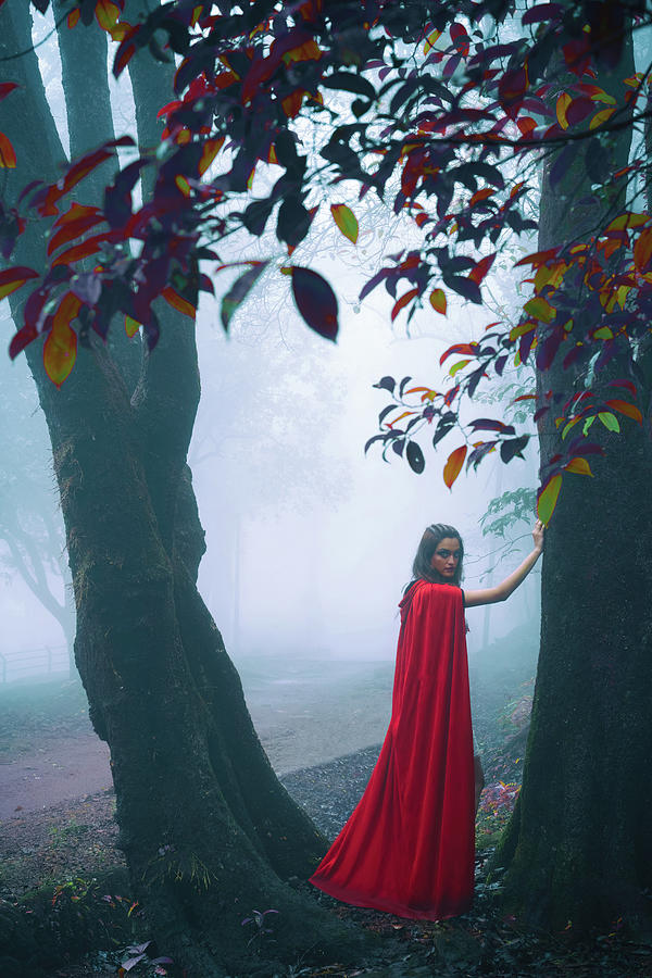 Red riding hood Photograph by Kiran Joshi - Fine Art America