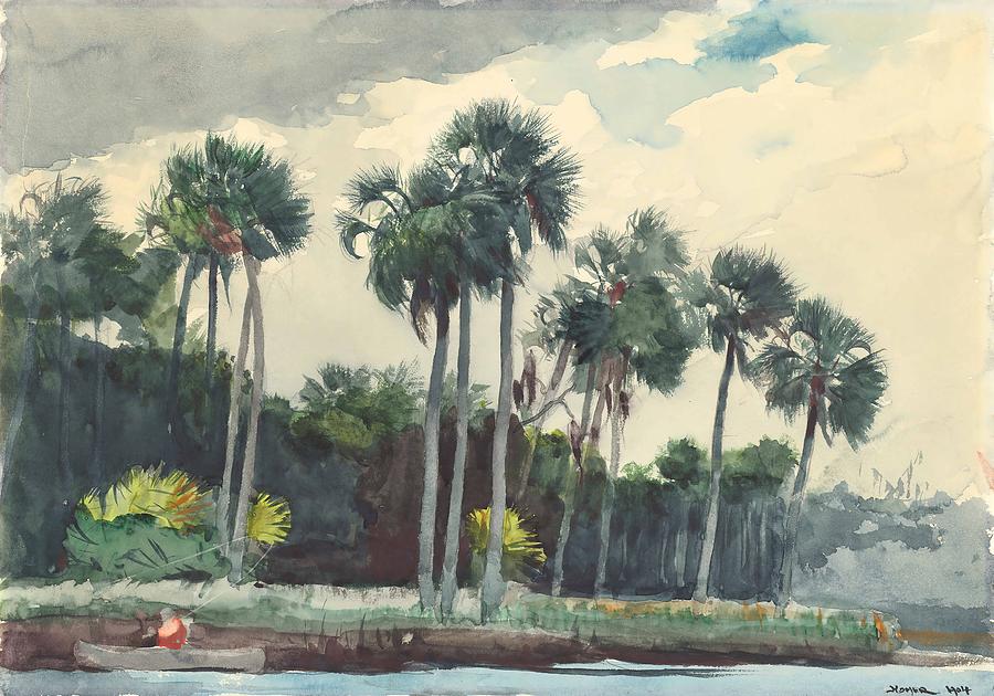 Red Shirt, Homosassa, Florida #5 Drawing by Winslow Homer