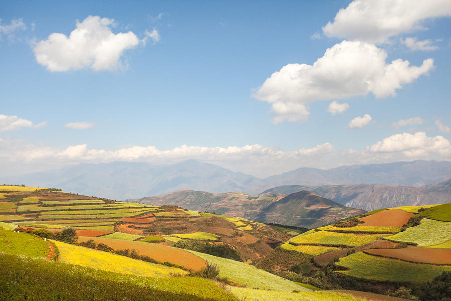 Red soil farmlands in Dongchuan district #3 Photograph by MOAimage