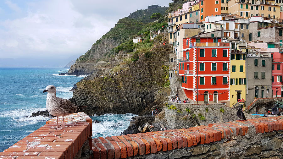 Riomaggiore In The Province Of La Spezia Liguria Italy Photograph By Colorful Points