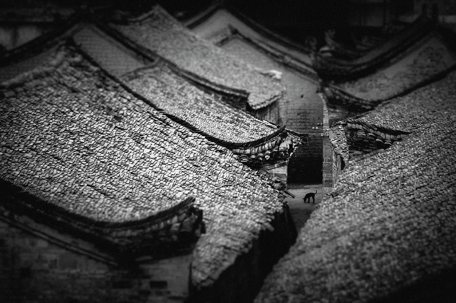 Roof of old house #3 Photograph by Carl Ning