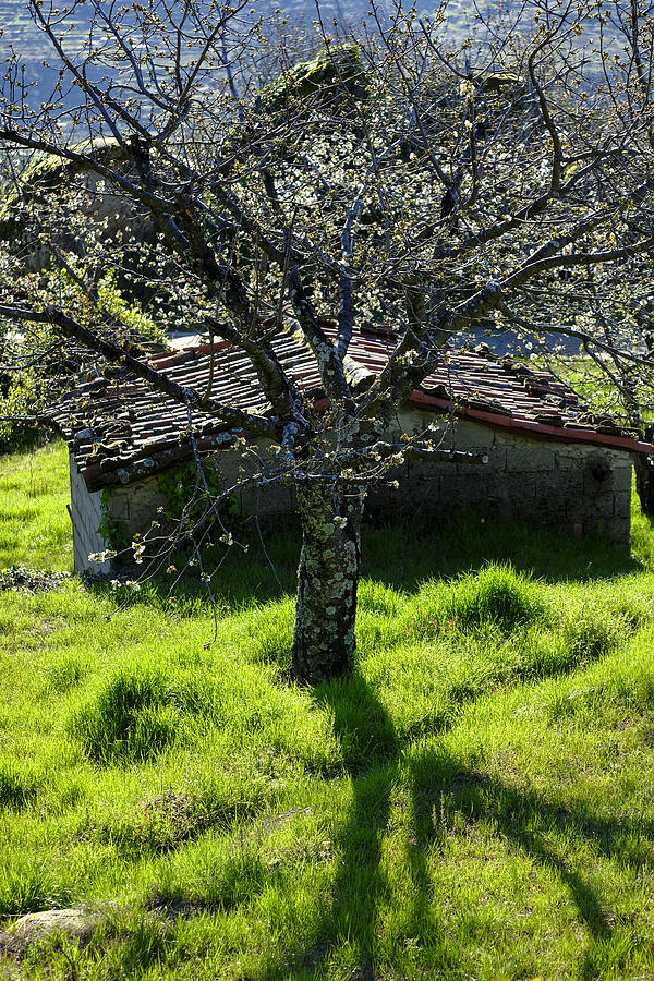 Rustic house in Jerte Valley #3 Photograph by Carlos Sanchez Pereyra