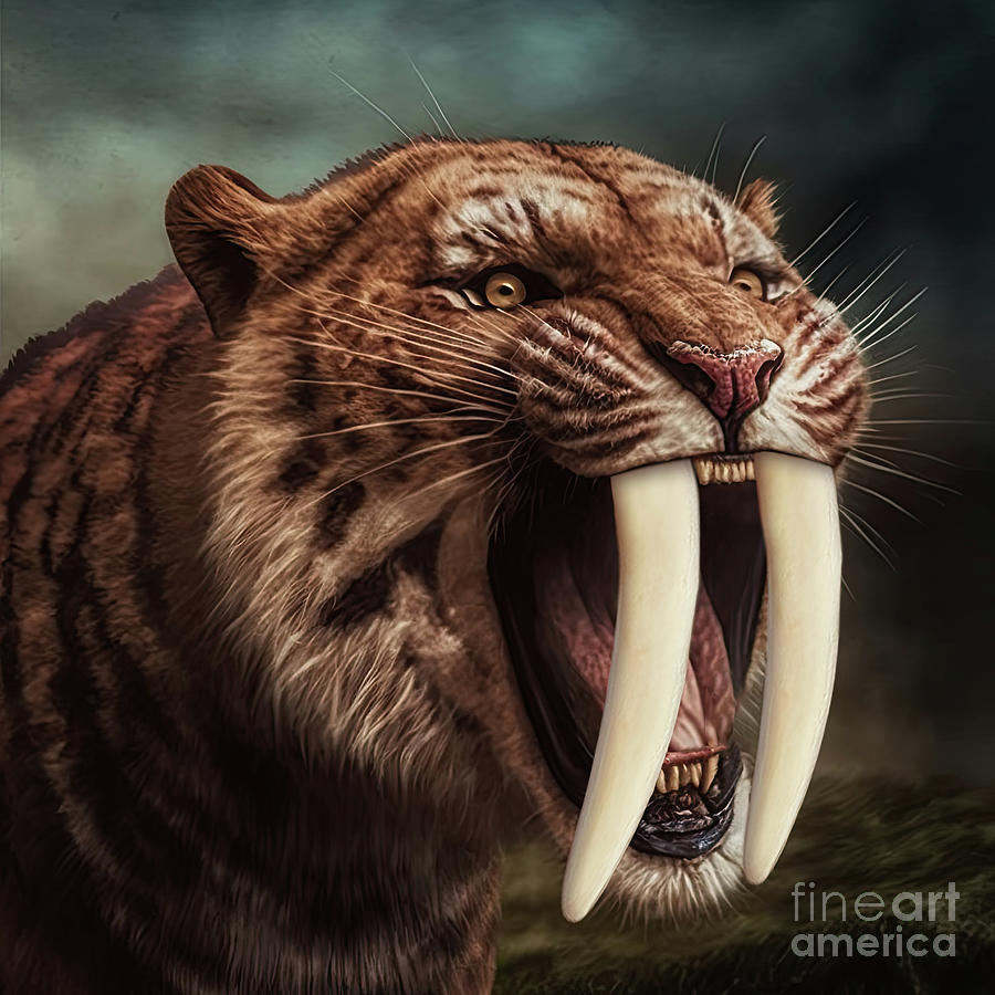 Saber toothed tiger or Smilodon Digital Art by Benny Marty - Fine Art ...