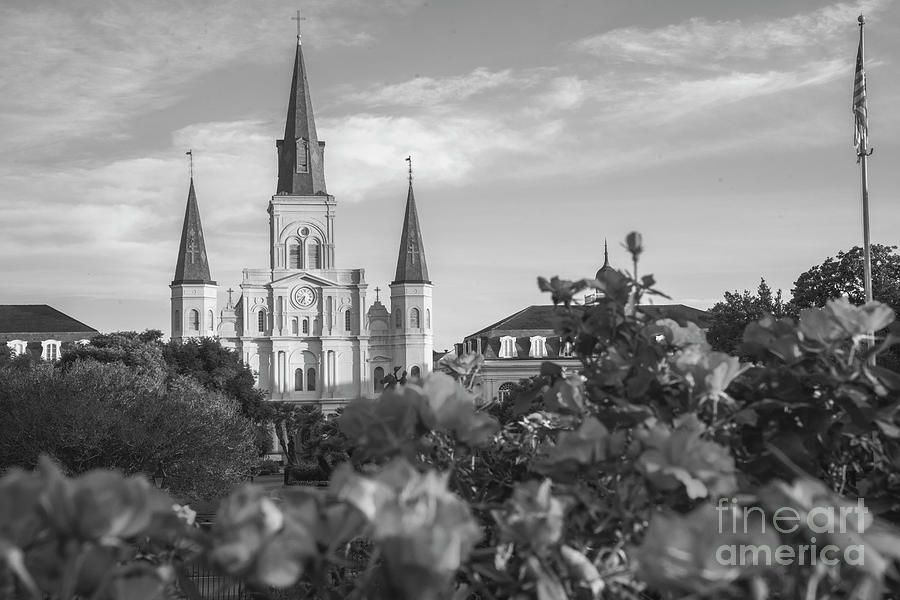 Saint Louis Cathedral #3 Photograph by FineArtRoyal Joshua Mimbs