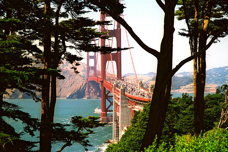 San Francisco #3 Photograph by Claude Taylor
