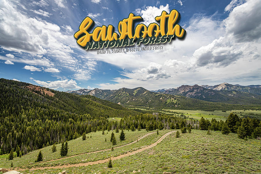 Sawtooth National Forest Photograph by Gestalt Imagery - Fine Art America