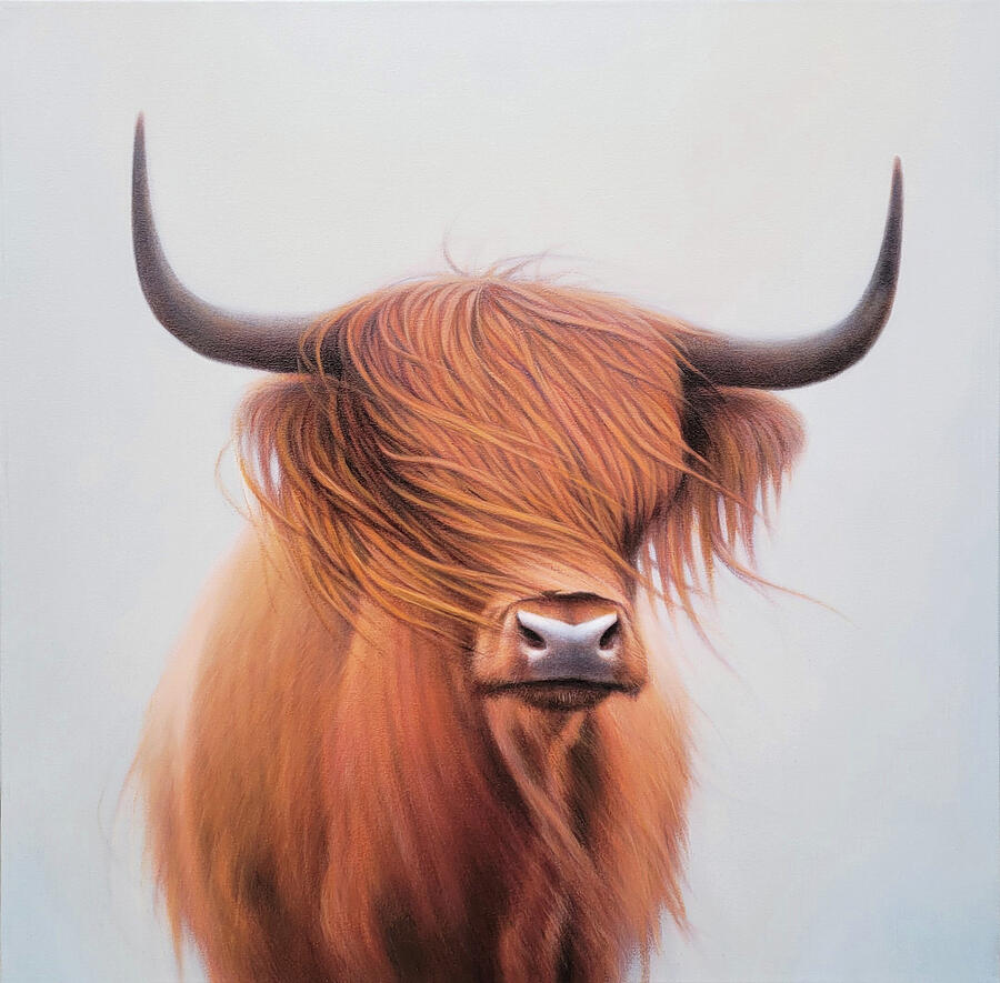 Scottish Highland Cattle Painting by Zusheng Yu