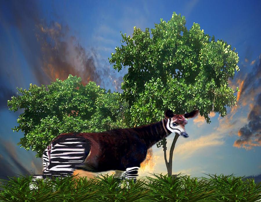 Animal Mixed Media - Searching by Belinda Threeths Animal Mixed Media - Searching by Belinda Threeths