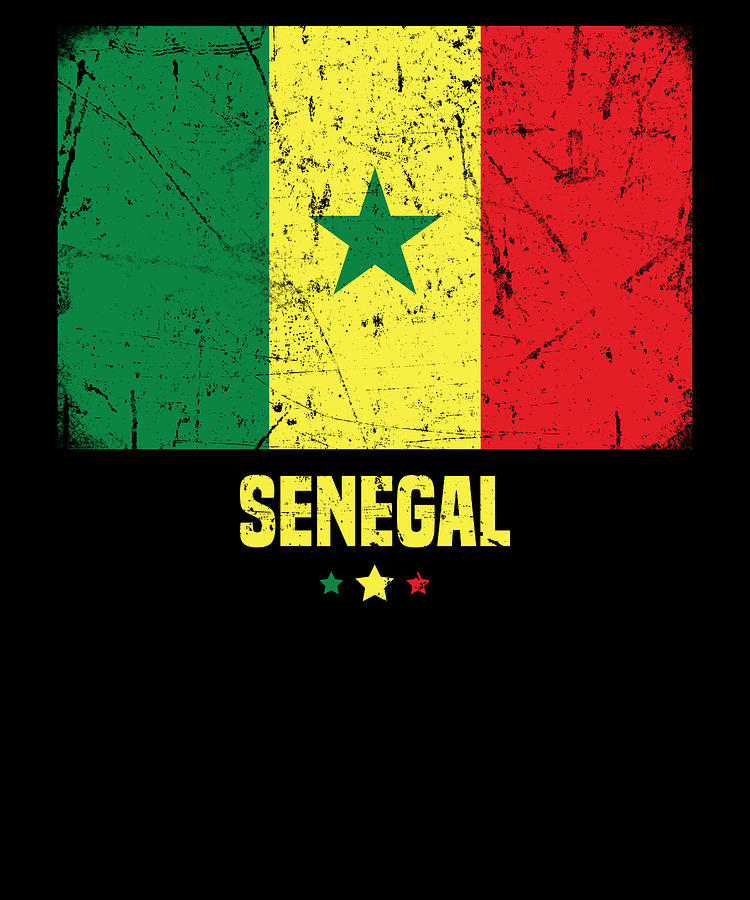 Senegal Flag Senegalese Digital Art By Michael S